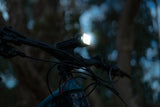 Knog Blinder 80 + Rücklicht Set StVZO schwarz