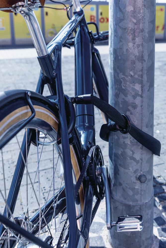 ABUS IvyTex ACH IVY 6KS/100 BK - 100 cm Einsteckkette, 6 mm gehärteter Stahl, IvyTex-Ummantelung, passend für ABUS Rahmenschlösser & Alarmbox 2.0
